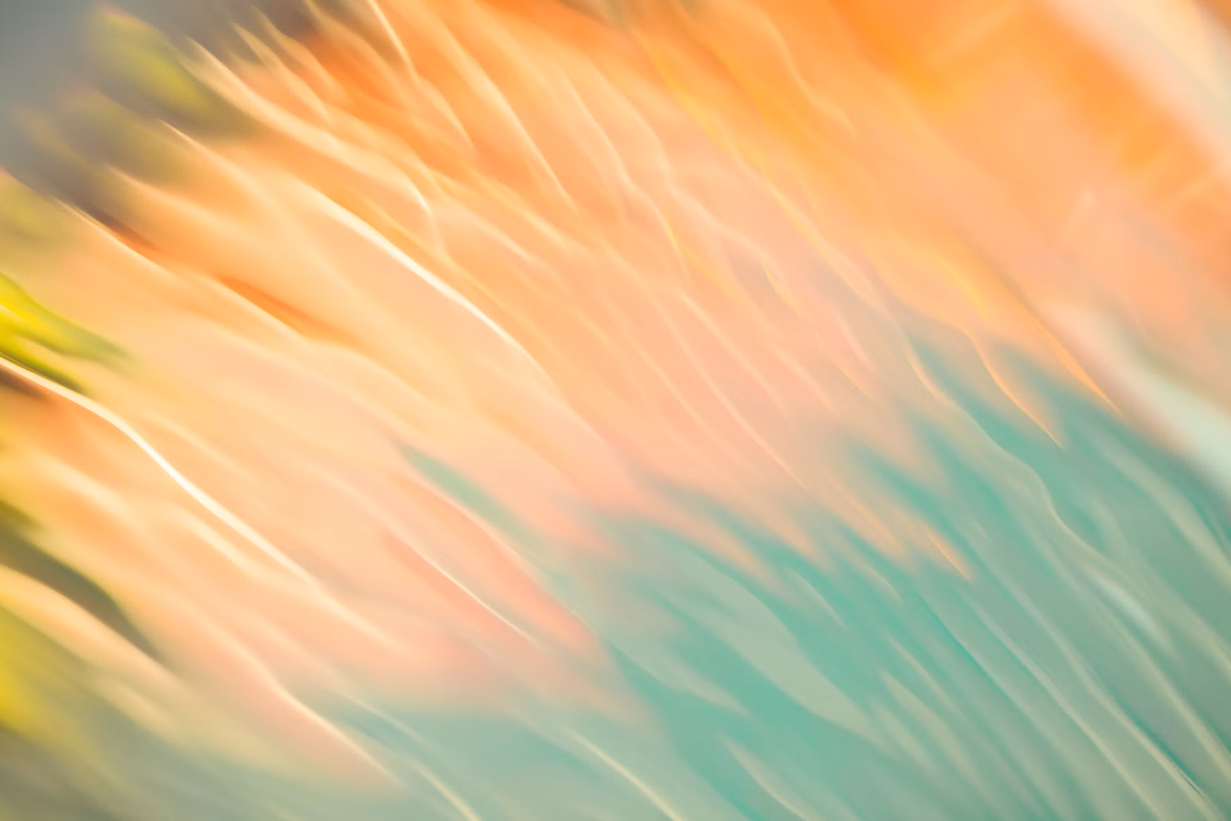 Soft orange and green flowers blurred into flowing streaks